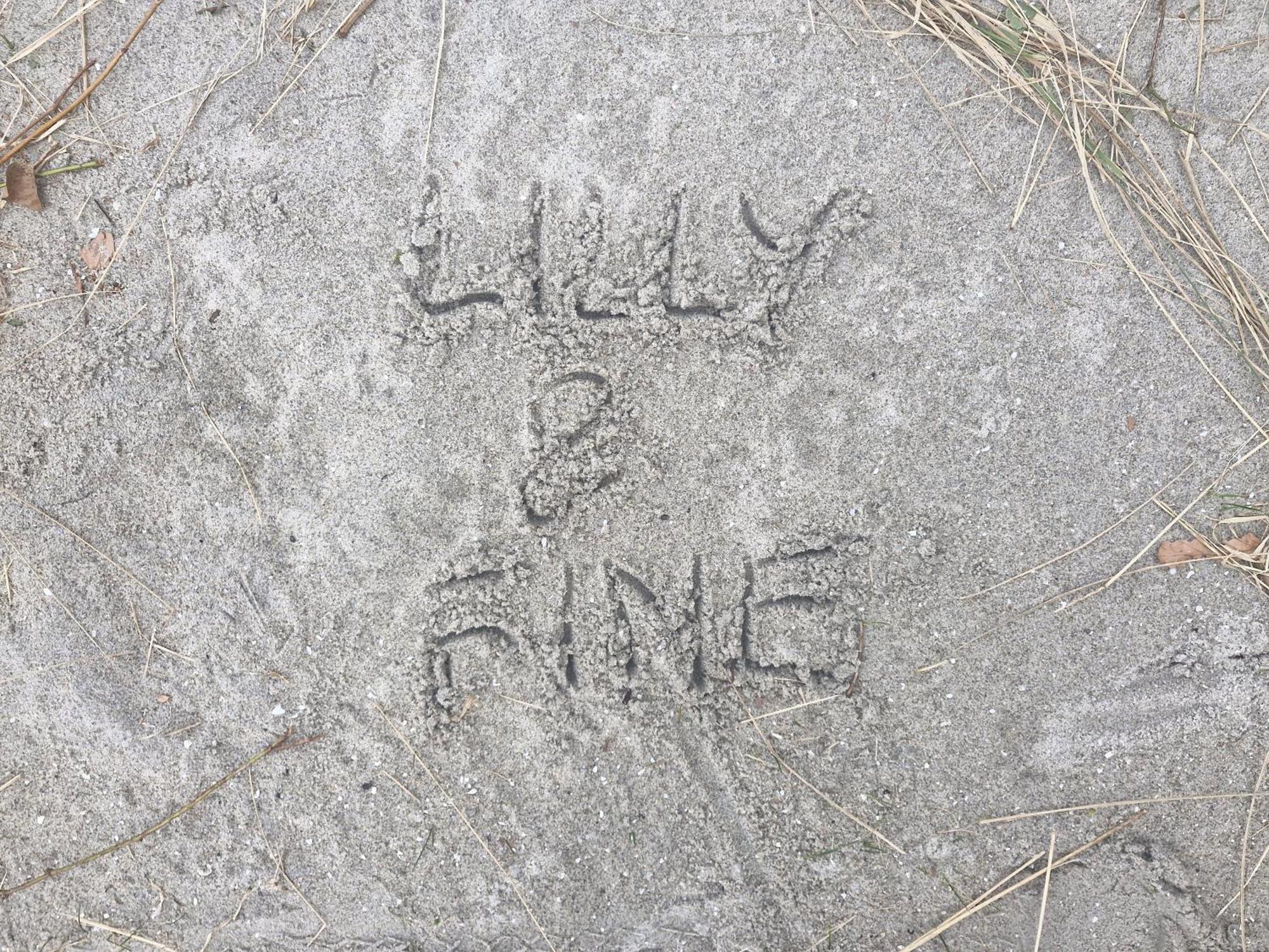 Lilly & Fine Daire Zingst Dış mekan fotoğraf